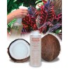 Coco-Wet Organic Wetting Agent 8 oz