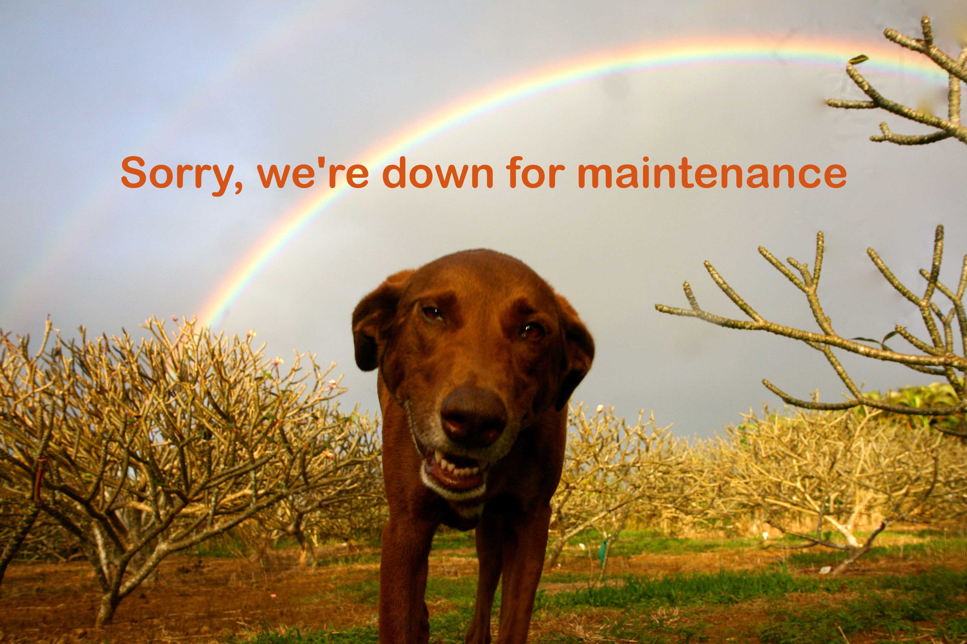 Slide background